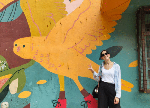 New Delhi Street Art Tour & Heritage Experience